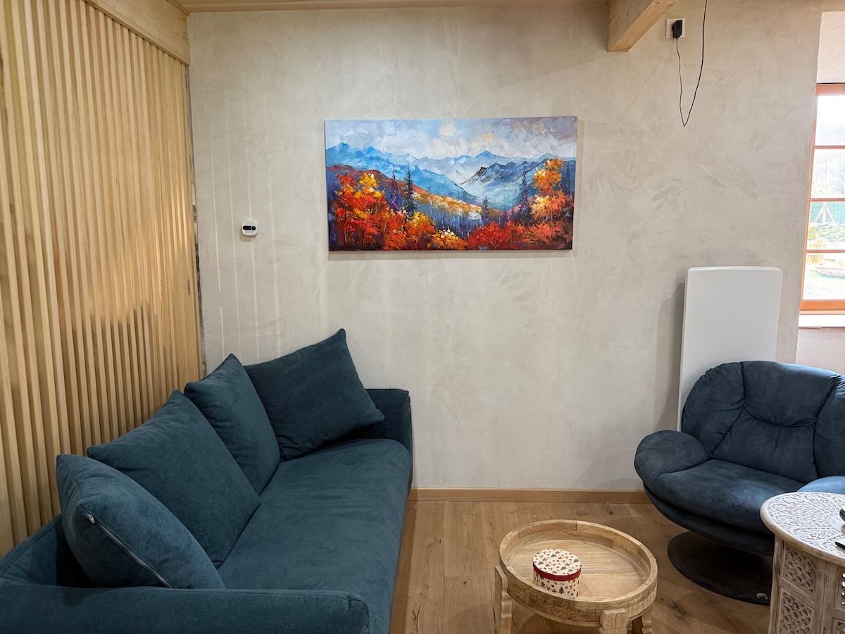 Salon, canapé et tableau de montagne
